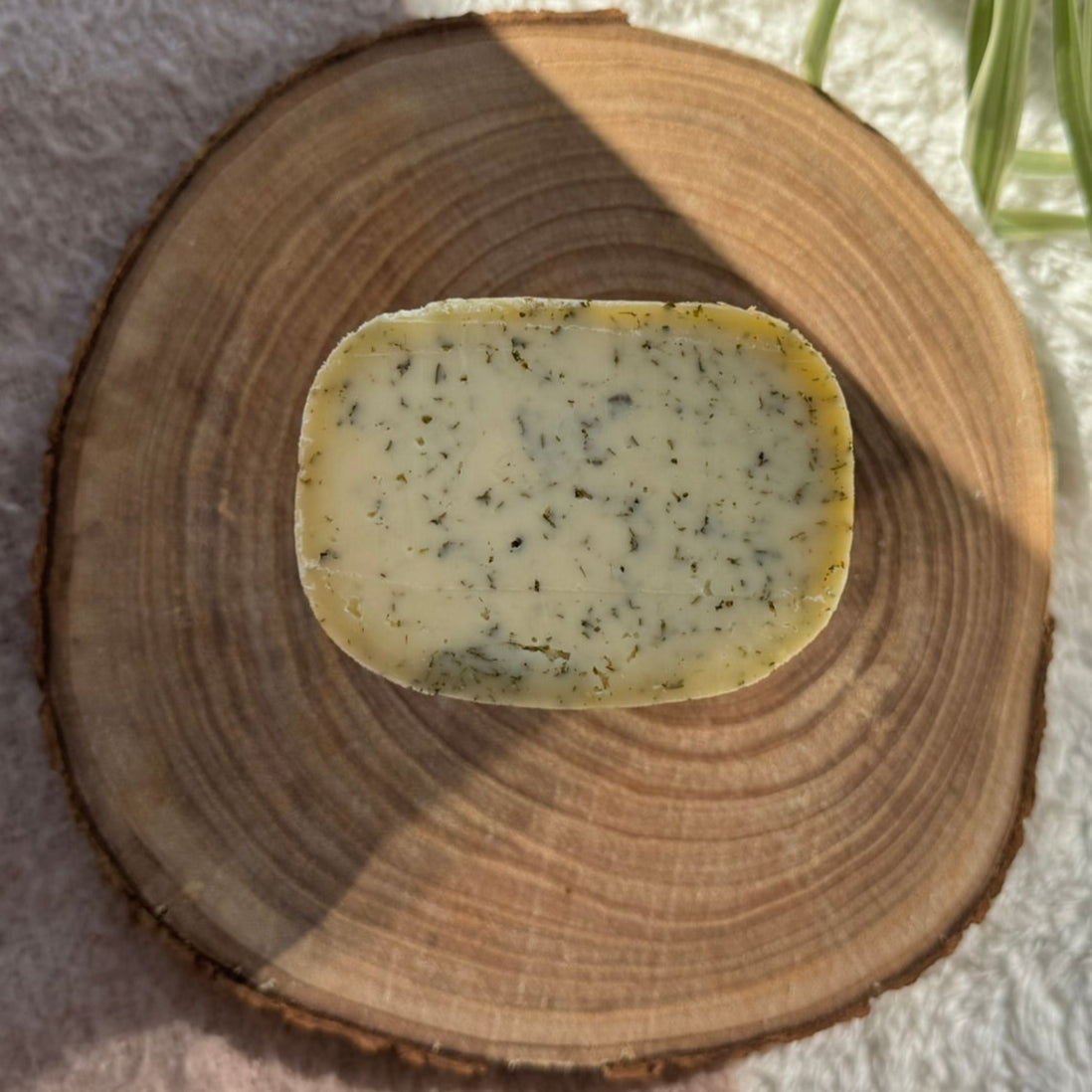 Kuh-Käse Brennnessel