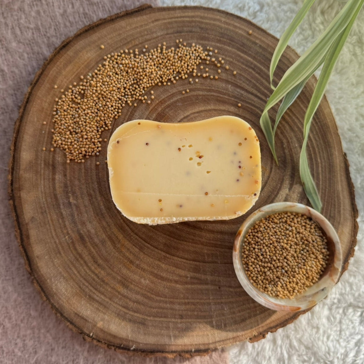 Kuh-Käse Senf