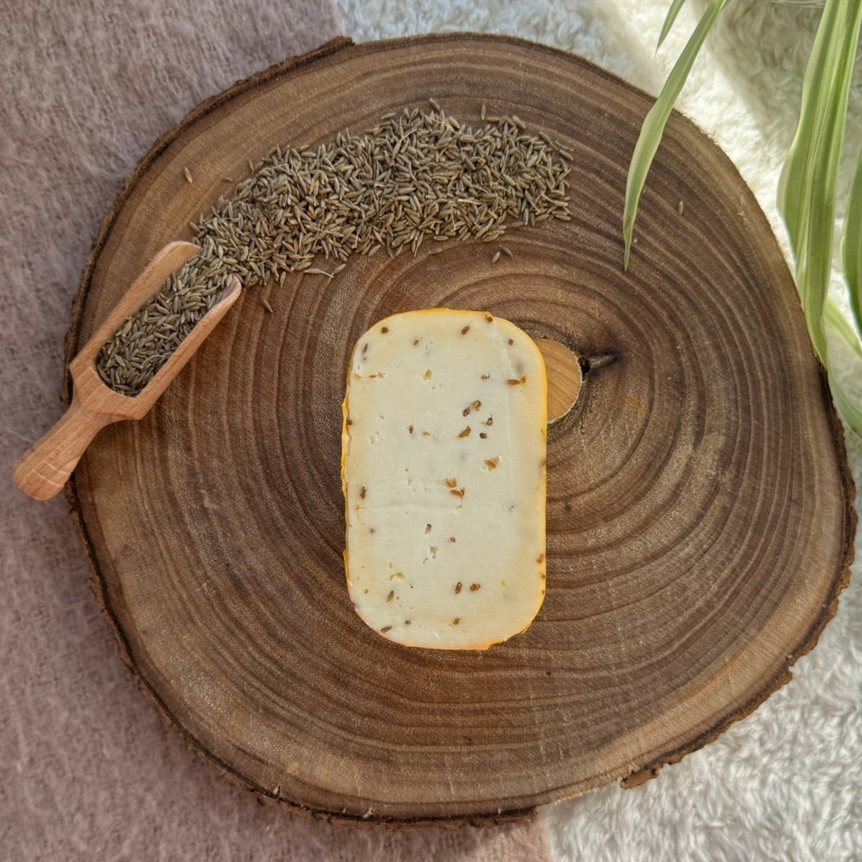 Kuh-Käse Kreuzkümmel