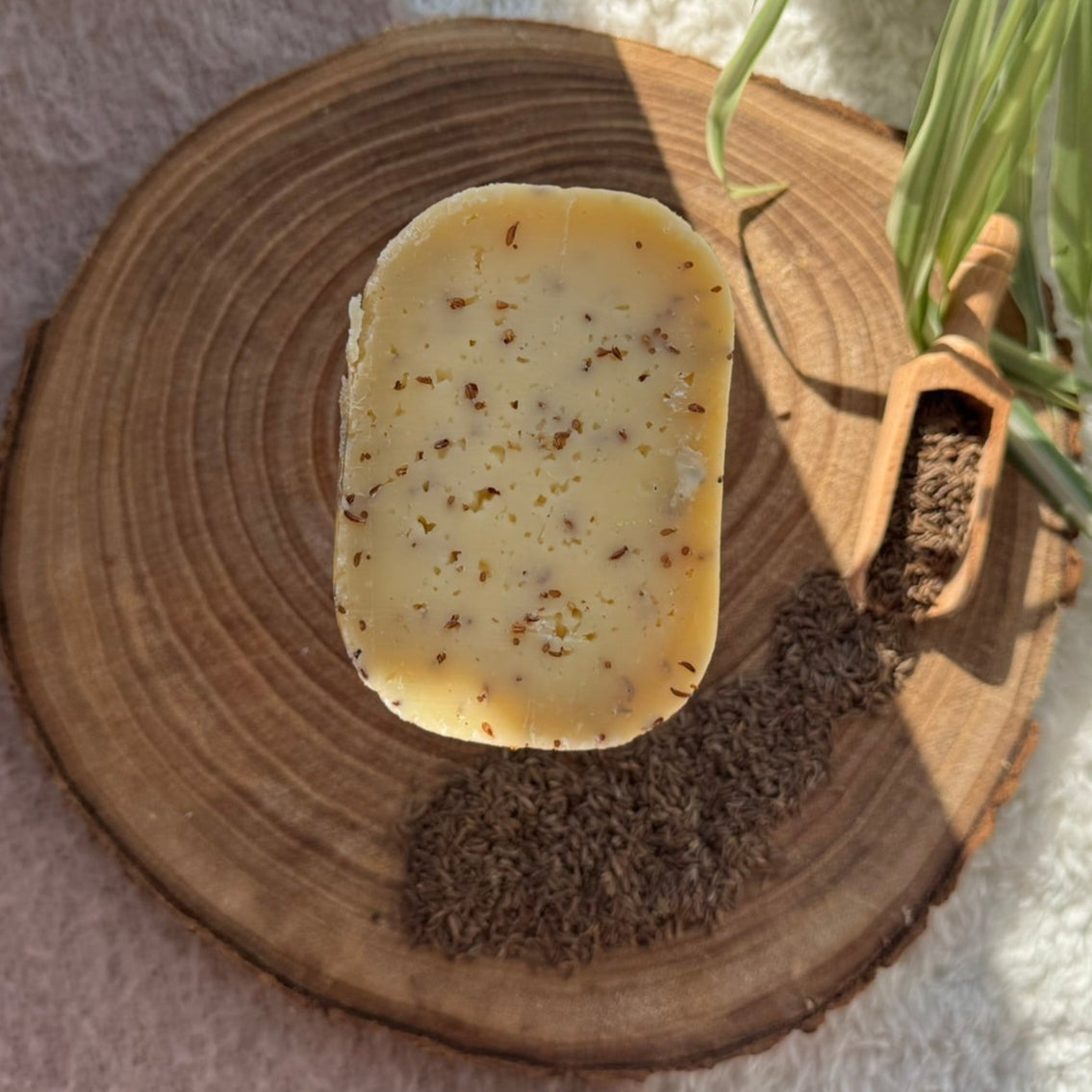 Kuh-Käse Kümmel