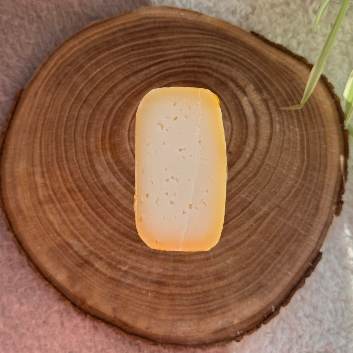 Schafs-Käse Natur
