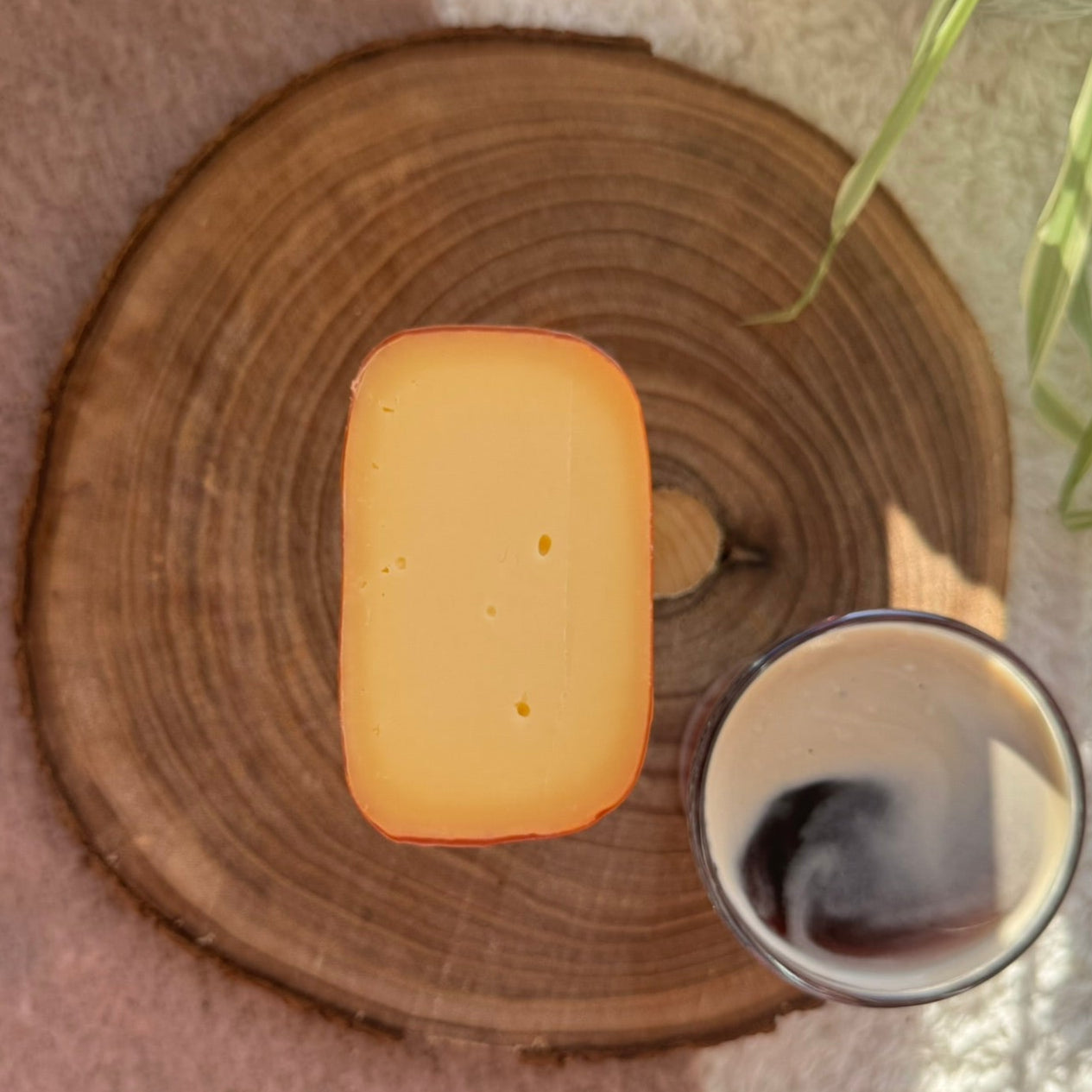 Kuh-Bierkäse