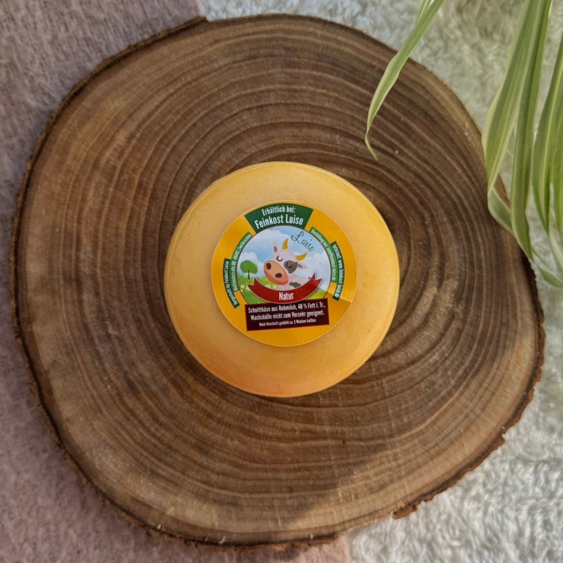Kuh-Käse Natur