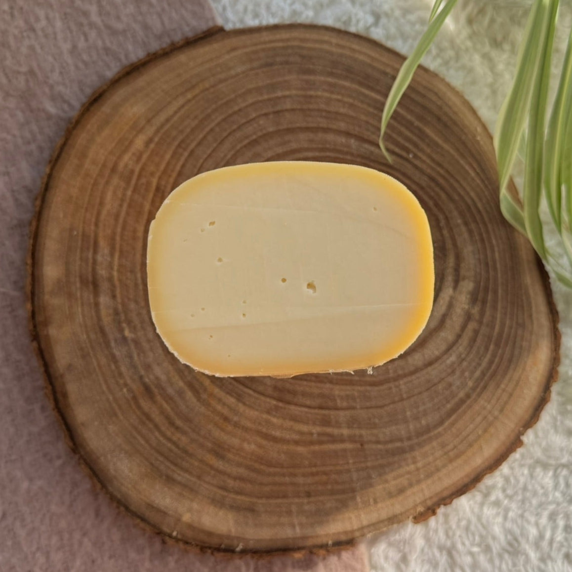 Kuh-Käse Natur